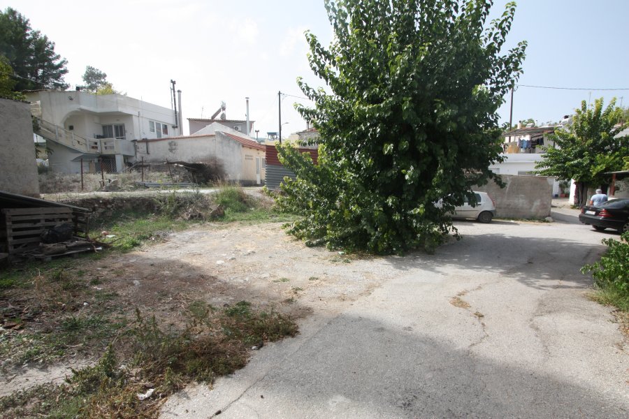 Plot in Dimilia