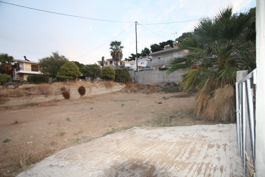Plot in Paradisi
