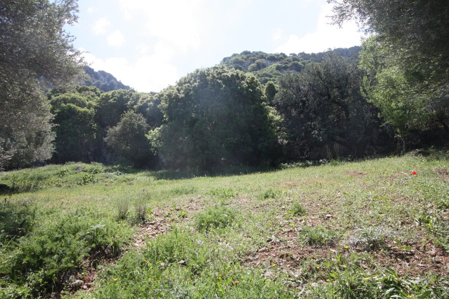 Plot of land in Salakos