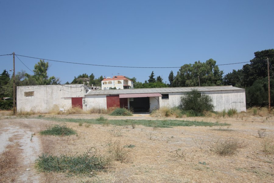 Farm with Residence, Stable, Olive Trees and Borehole in Koskinou, area Tsairi